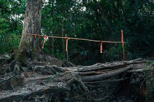 BIB: 
                            <button type="button" onclick="openModal(27806604)" class="btn btn-primary btn-sm float-right btn-popup" data-toggle="modal" data-target=".modal-high-quality">
                        <i class="fas fa-shopping-cart"></i> Add to Cart
                    </button>
                                            <button type="button" onclick="isThisMe(27806604, true)" class="btn btn-success btn-sm float-right btn-popup btn-isme hidden" data-toggle="tooltip" data-placement="bottom" title="นี่คือรูปของคุณใช่ไหม คลิกที่นี่เพื่อเอาเข้าอัลบั้ม">
                        <i class="fas fa-plus"></i> Add to album
                    </button>
                    <button type="button" onclick="isThisMe(27806604, false)" class="btn btn-warning btn-sm float-right btn-popup btn-isnotme hidden">
                        <i class="fas fa-ban"></i> Remove from album
                    </button>